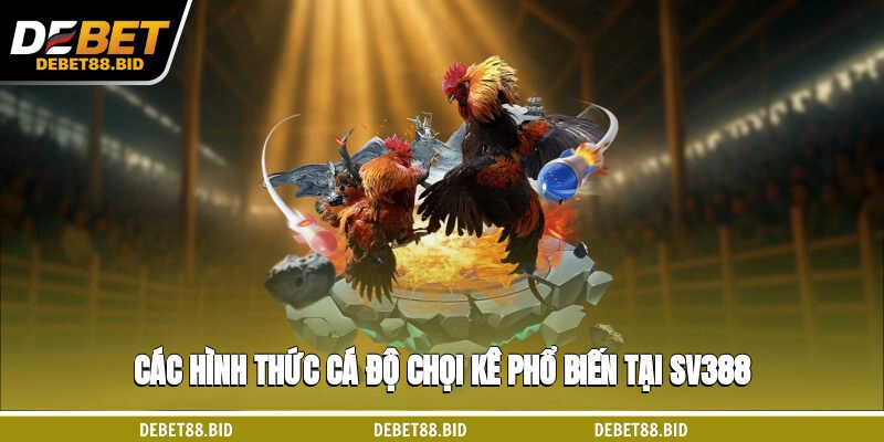 Các hình thức cá độ chọi kê phổ biến tại SV388