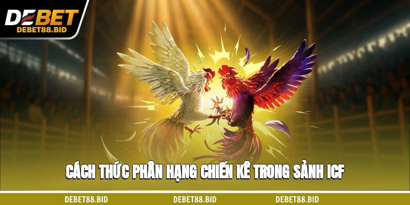 Cách thức phân hạng chiến kê trong sảnh ICF