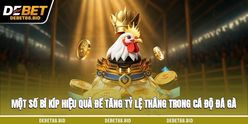 Một số bí kíp hiệu quả để tăng tỷ lệ thắng trong cá độ đá gà