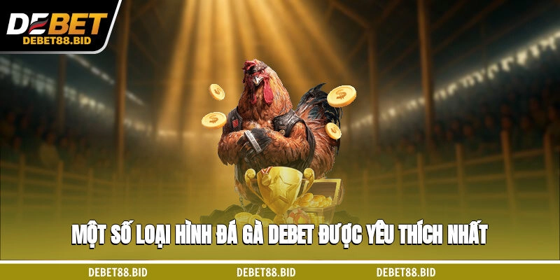 Một số loại hình đá gà DEBET được yêu thích nhất