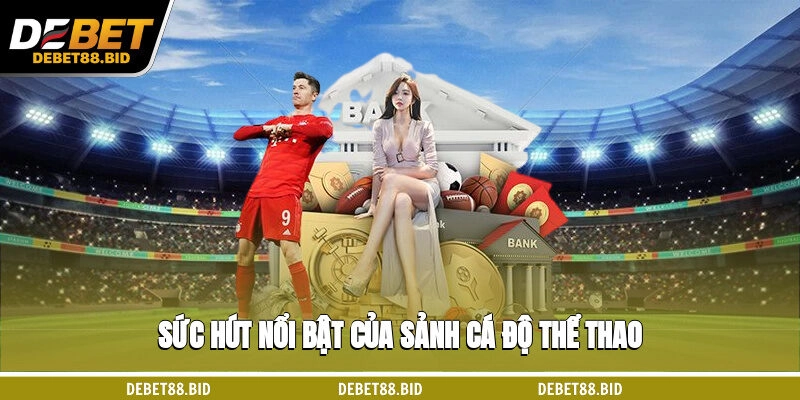 Sức hút nổi bật của sảnh cá độ thể thao