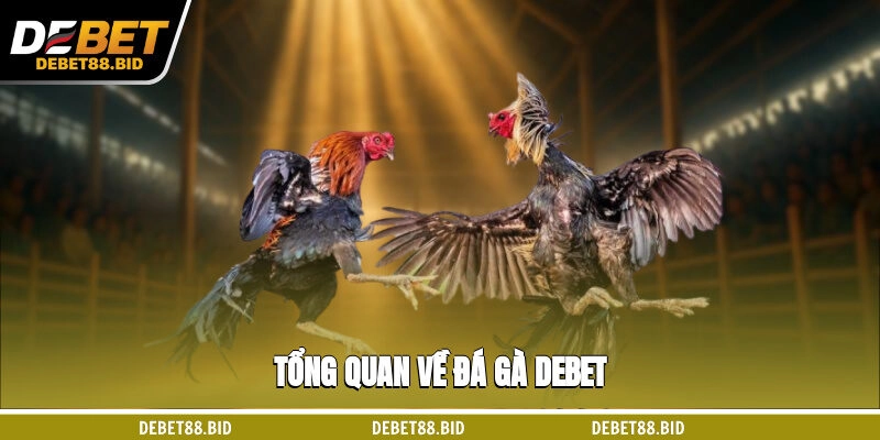 Tổng quan về đá gà DEBET