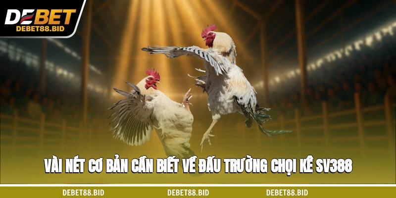Vài nét cơ bản cần biết về đấu trường chọi kê SV388
