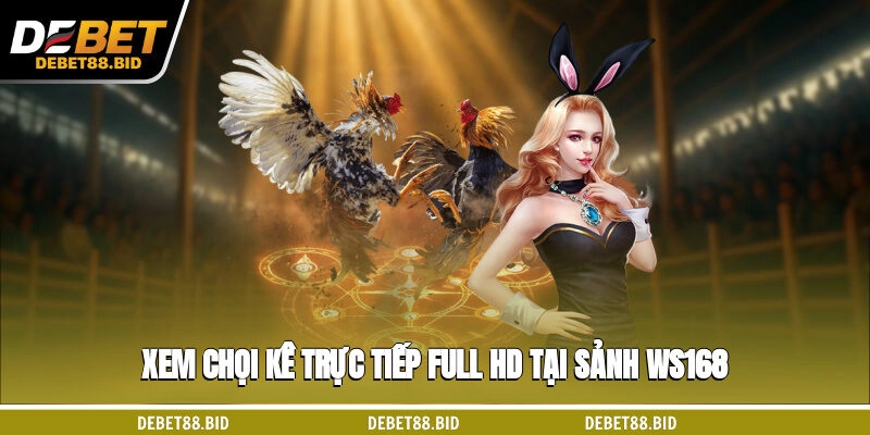 Xem chọi kê trực tiếp full HD tại sảnh WS168